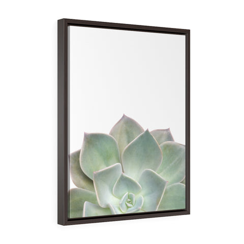 Succulent 2 - Framed Gallery Wrap Canvas