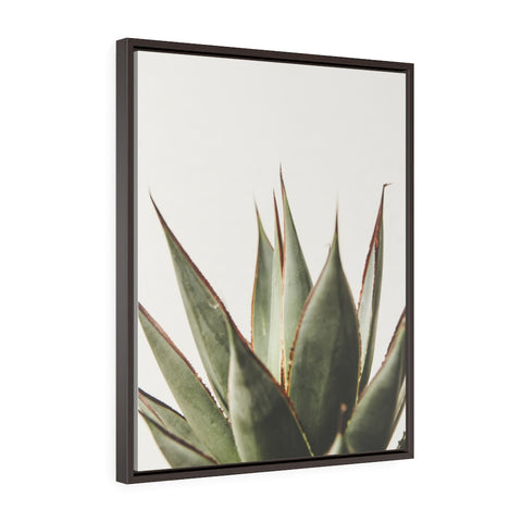 Succulent 1 - Framed Gallery Wrap Canvas