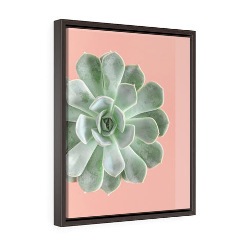 Succulent 3 - Framed Gallery Wrap Canvas