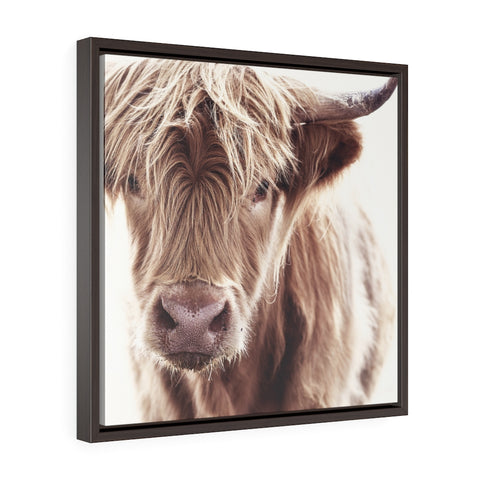 A Cow -  Framed Gallery Wrap Canvas