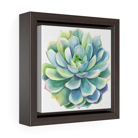 Green Succulent - Framed Premium Gallery Wrap Canvas
