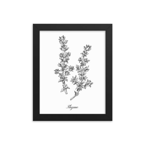 Herb Botanical Print (Thyme), Black or White Frame, Multiple Sizes