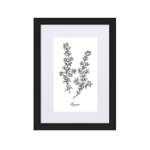 Herb Botanical Custom Matted Print (Thyme) 8.3x11.8 in.
