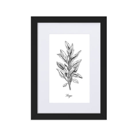 Herb Botanical Custom Matted Print (Sage) 8.3x11.8 in.
