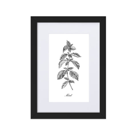 Herb Botanical Custom Matted Print (Mint) 8.3x11.8 in.