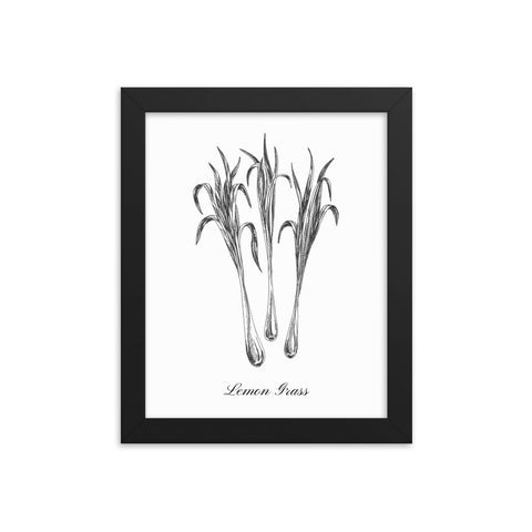 Herb Botanical Print (Lemon Grass), Black or White Frame, Multiple Sizes