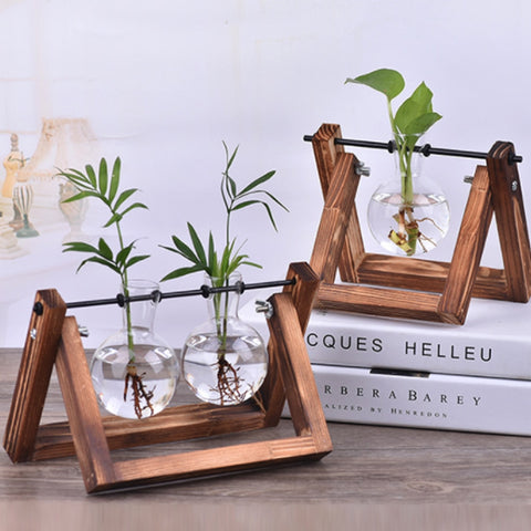 Hydroponic Plant Vases, Glass with Wooden Stand