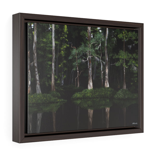 Cypress Grove (by Brent Grenda) - Framed Premium Gallery Wrap Canvas