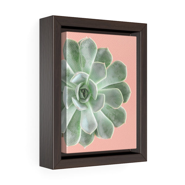 Succulent 3 - Framed Gallery Wrap Canvas