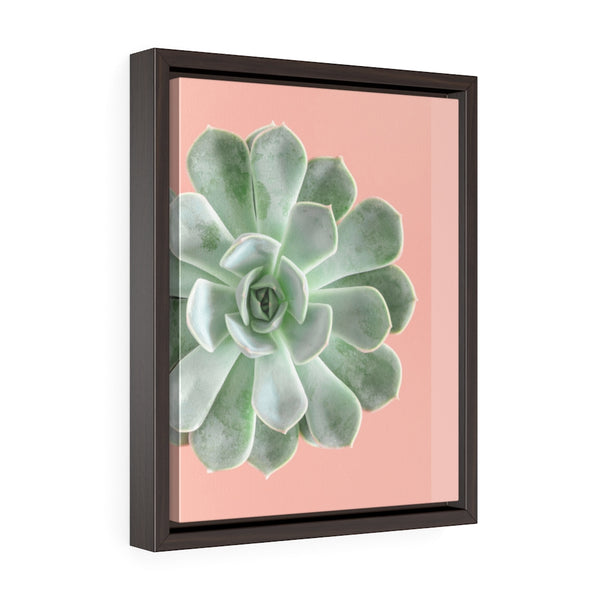 Succulent 3 - Framed Gallery Wrap Canvas