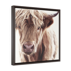 A Cow -  Framed Gallery Wrap Canvas