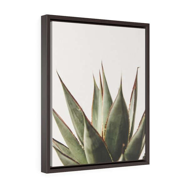 Succulent 1 - Framed Gallery Wrap Canvas