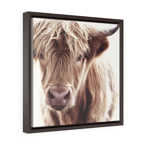 A Cow -  Framed Gallery Wrap Canvas