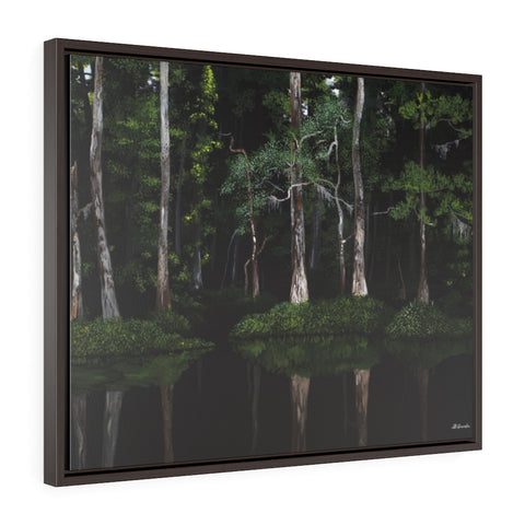 Cypress Grove (by Brent Grenda) - Framed Premium Gallery Wrap Canvas