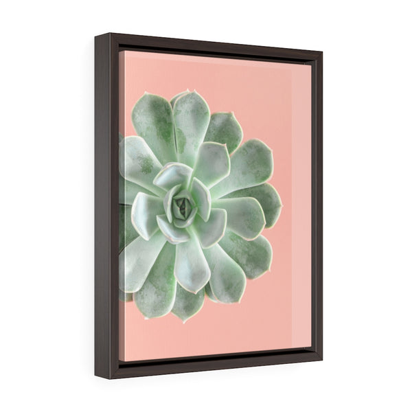 Succulent 3 - Framed Gallery Wrap Canvas