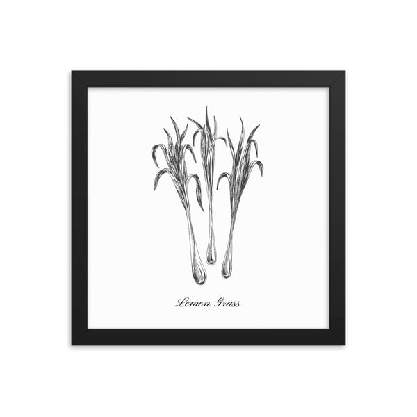 Herb Botanical Print (Lemon Grass), Black or White Frame, Multiple Sizes