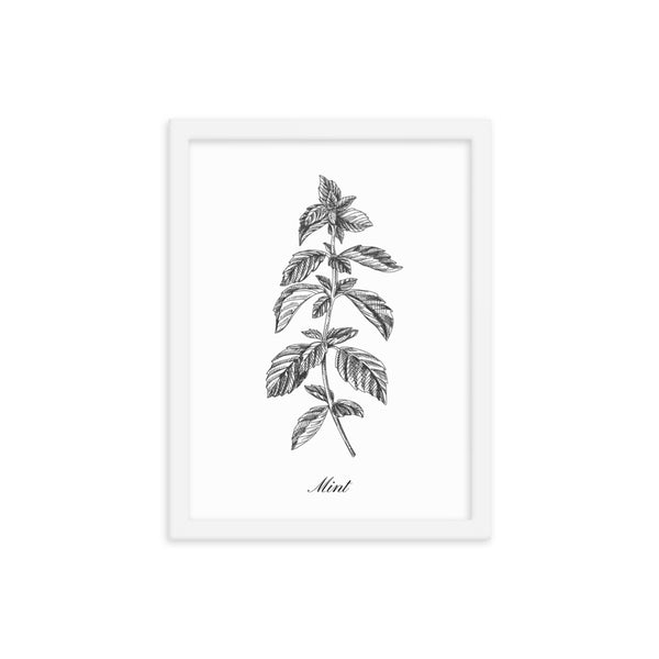 Herb Botanical Print (Mint), Black or White Frame, Multiple Sizes