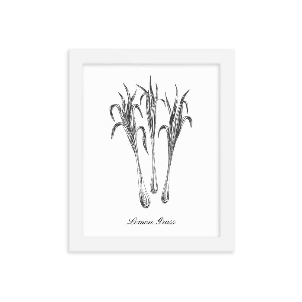 Herb Botanical Print (Lemon Grass), Black or White Frame, Multiple Sizes