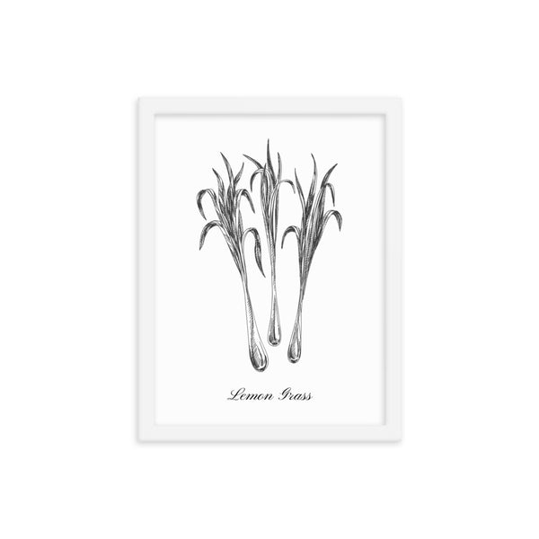 Herb Botanical Print (Lemon Grass), Black or White Frame, Multiple Sizes