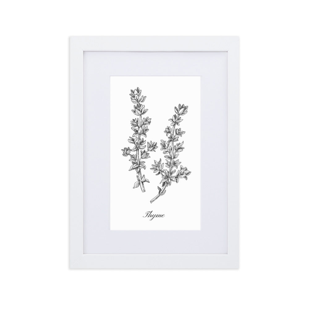 Herb Botanical Custom Matted Print (Thyme) 8.3x11.8 in.