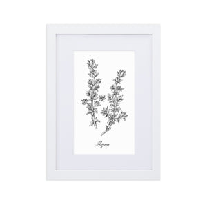 Herb Botanical Custom Matted Print (Thyme) 8.3x11.8 in.