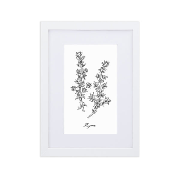 Herb Botanical Custom Matted Print (Thyme) 8.3x11.8 in.