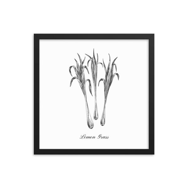 Herb Botanical Print (Lemon Grass), Black or White Frame, Multiple Sizes