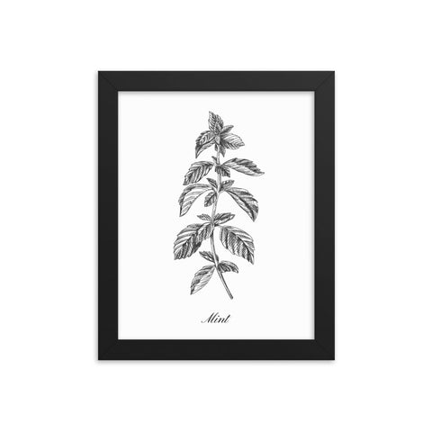 Herb Botanical Print (Mint), Black or White Frame, Multiple Sizes