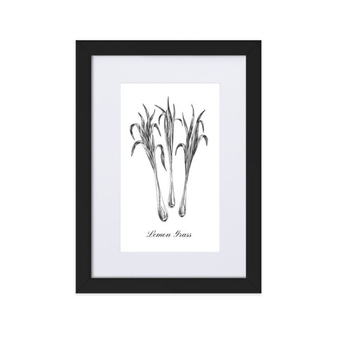 Herb Botanical Custom Matted Print (Lemon Grass) 8.3x11.8 in.