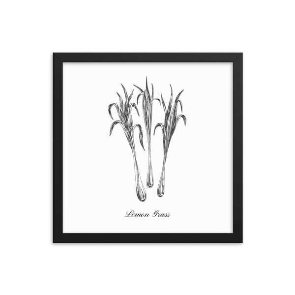 Herb Botanical Print (Lemon Grass), Black or White Frame, Multiple Sizes