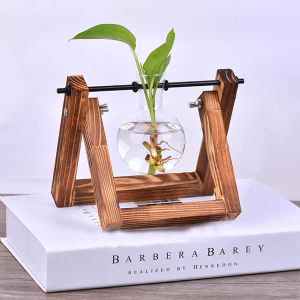 Hydroponic Plant Vases, Glass with Wooden Stand