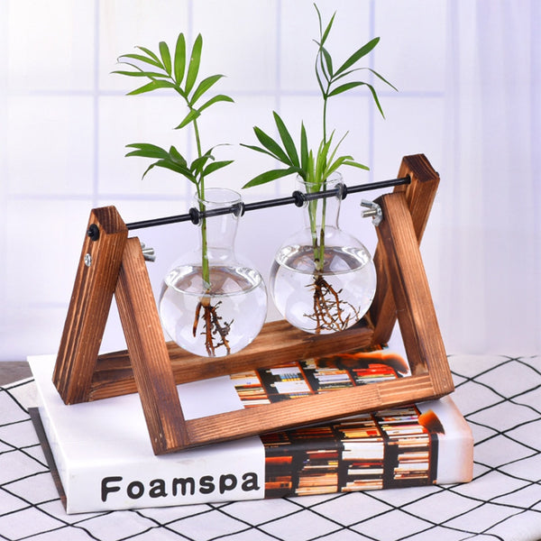 Hydroponic Plant Vases, Glass with Wooden Stand