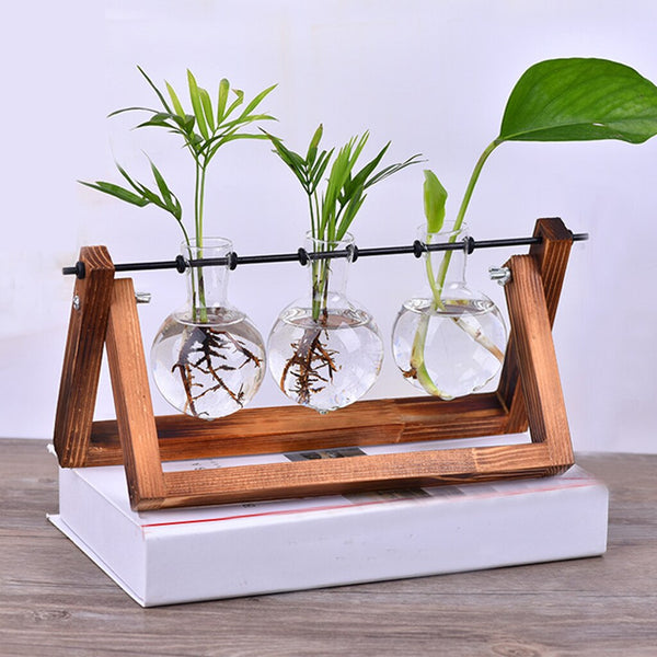 Hydroponic Plant Vases, Glass with Wooden Stand