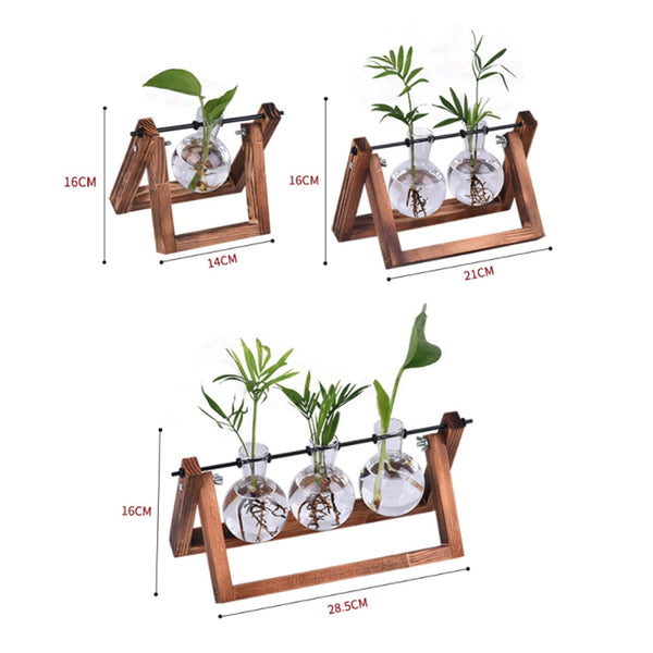 Hydroponic Plant Vases, Glass with Wooden Stand