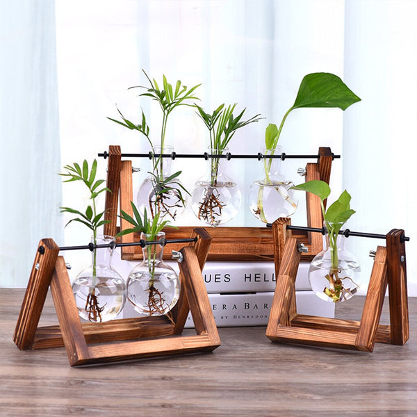 Hydroponic Plant Vases, Glass with Wooden Stand